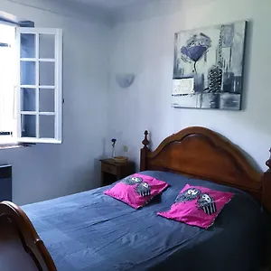 Privée Dans Provençale Séjour chez l'habitant Saint-Tropez